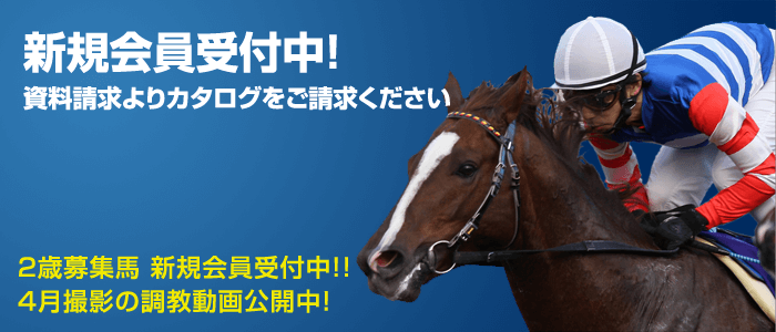 トップ画面イメージ