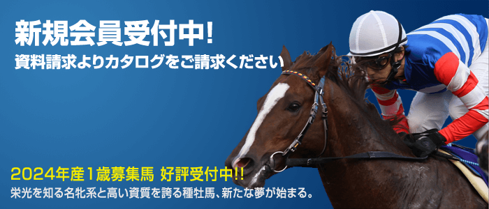 トップ画面イメージ